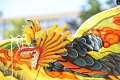 Kulturen    054
